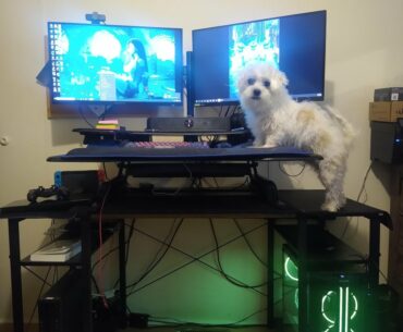Work and Gaming Battlestation