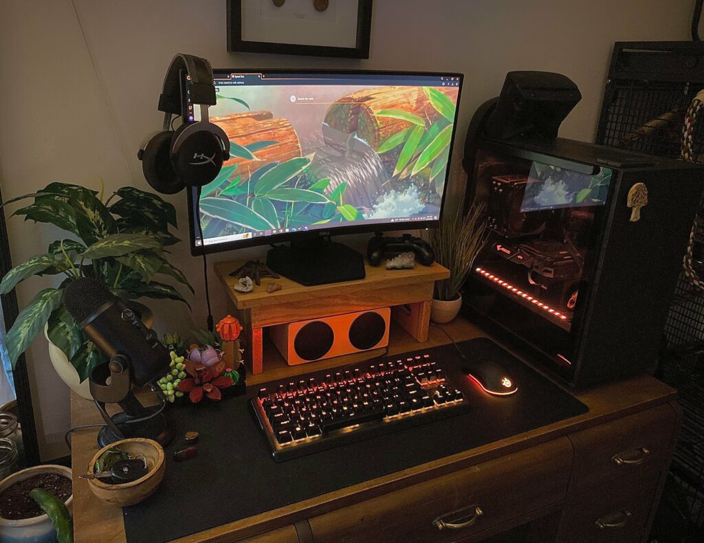Gaming set up