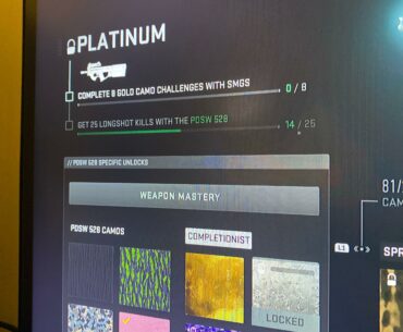 Can somebody help me with this I already have 8 gold smg but it says this after the new update?
