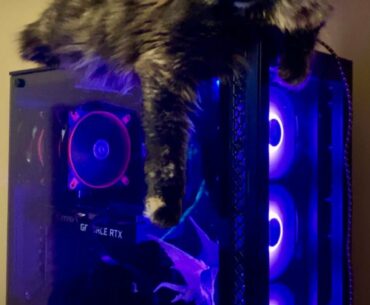 My husband gifted me this beauty for Christmas. The air vents are on the top- how can I protect the pc while still letting my cat watch me play?
