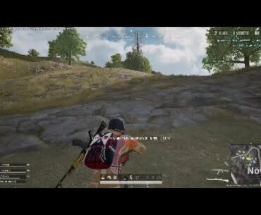 A few decent snipes
