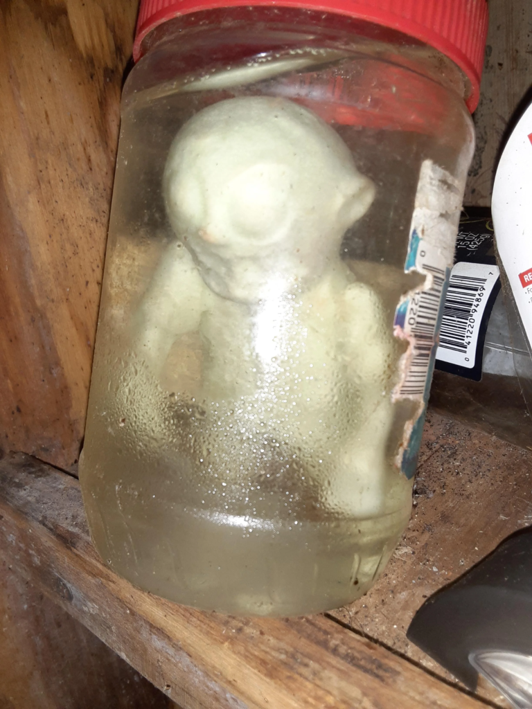 Denizen cumjar