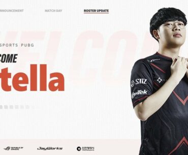 GNL signed Stella. Re-signed Roy, Hammer and TaekGyun!