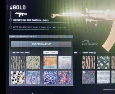 I have the camos done is this bugged?