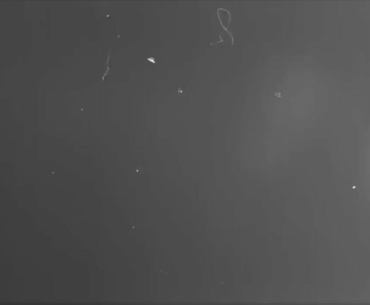 Call of the Dead Remastered Trailer, by @Chromastone10 on Twitter.
