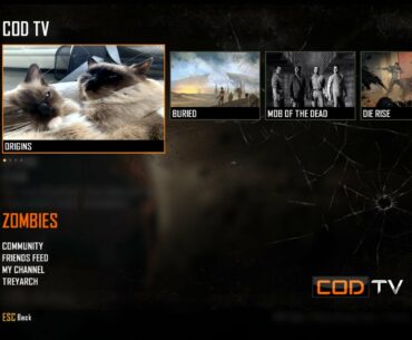 Has this picture always been here? Decided to install bo2 again and just randomly looked through stuff and came across this? on PC btw