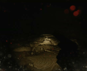 Campaign Zombies >