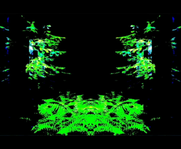 virtual.forest