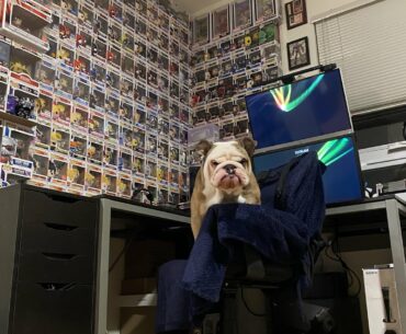 Admiring my old desk setup before the move featuring Domo