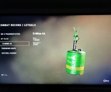 Someone posted erlier 11.5k kills.These babies help getting V2s