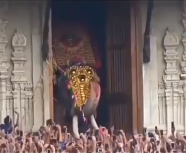 Literally the elephants from ix