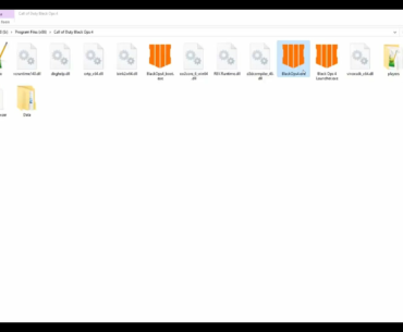BO4 PC Revival Project Showcase (for people who missed it out) [More to be added soon]