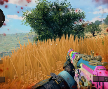 One gun. One win.