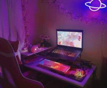 Im new to this and only partake in light gaming, but this is my smol station at the moment 💕 ft some desk friends