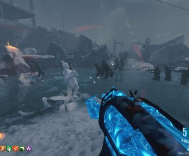 VR-11 with the Origins PaP camo