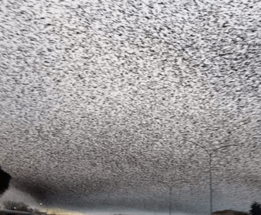 The sky above the port was the colour of television, tuned to a dead channel