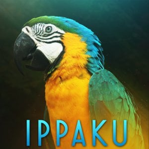 PAS NA Open Quals Streams