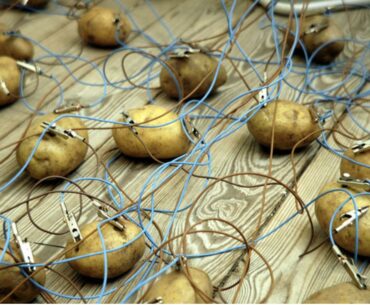 LIVE: COD Servers