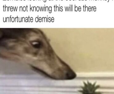 They do be like that