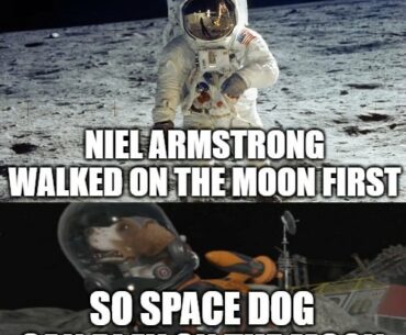 the dog shall play