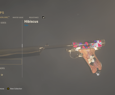 Skin transfer to the P-08 along with grips