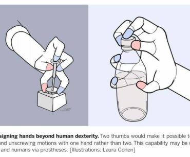 From a science review paper about robot manipulation.