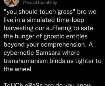 Computer, load grass.jpeg. Safety protocols off.