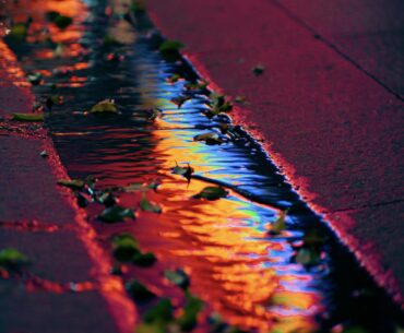 A neon sign reflection photo I took