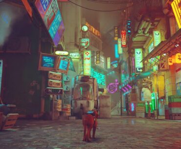 Feels so cyberpunk-Stray