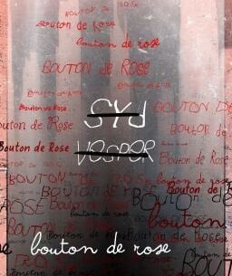 Histoire courte "Bouton de Rose" (creepypasta cyberpunk)