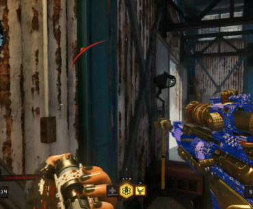 Havelina 5on head