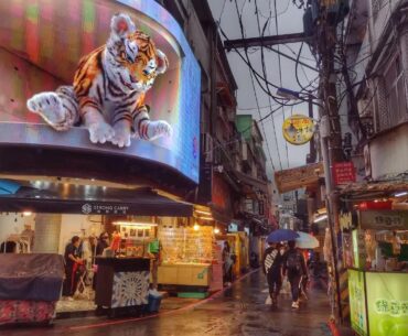 3D screen in Shilin Night Market, Taipei