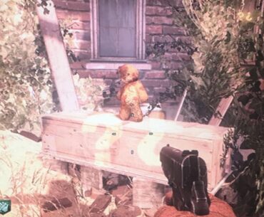 Found this on my memories, was this a bug or intended?