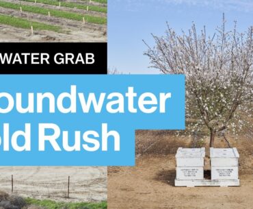 Wall Street Is Turning Water into Wealth, Leaving Californians Out to Dry