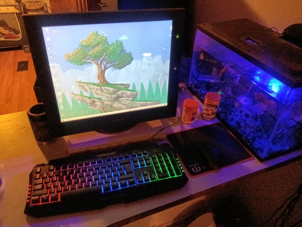 My Gaming setup