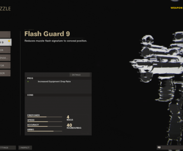 Mind explaining this, treyarch? Like couldn't you at least made these attachments a bit more different other than making one of them giving the same benefit as the other except with a drawback and being quieter which is not even useful in zombies