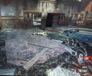BO1 Reimagined mod - no animations on screen