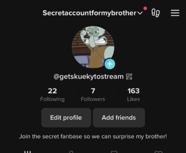I made a secret account on TikTok to make a secret fanbase for my older brother. He is so funny and does commentary and screams and is so fun to watch. I grew up watching him play games! If he get a large fanbase, i’ll convince him to go live and surprise him with alot of views!