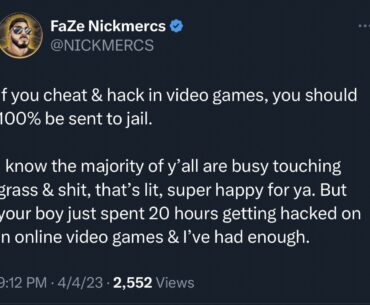 Should people who cheat in video games be sent to jail?