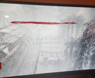 I like to get increasingly drunk and high and see how it affects my zombie playing abilities
