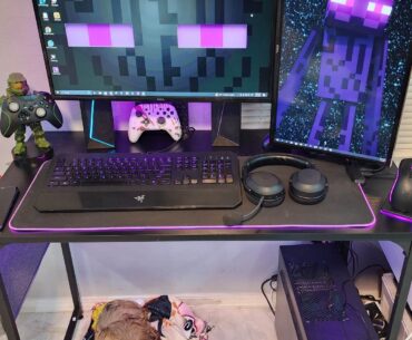 EXTREME BUDGET SETUP UPDATE!! Last time I posted my full setup the total came back to $278 and forgot to mention the $1 dual monitor arms, YES i did pay $1 for it, garage sales are the best. Updated prices in 1st coment. Puppy was free thanks to my Brother-in-Law