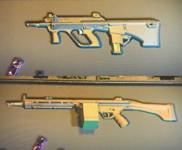 Give MX9 a 40 mag, RAPP 100 as default, and it’s like there’s 2 new guns in the game