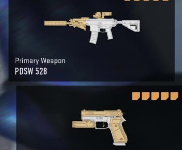 Ah yes, these are my guns