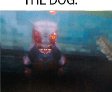 There is exactly one image of an NDS Hellhound available on the internet and it's this