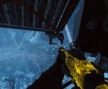 Is this a glitch or an easter egg? Static wolf holding an AR on Der Eisendrache, can't find anything about it online.