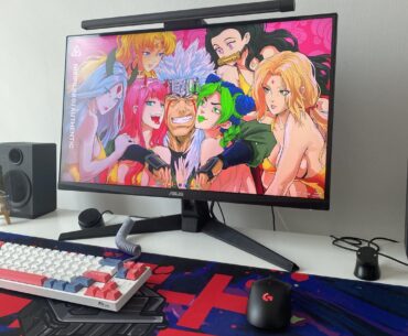Harem setup