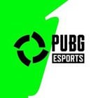 PUBG announced EU "Regional Series" tournament