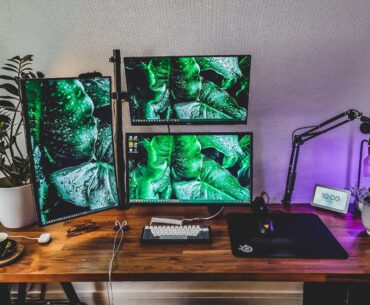 Pretty happy with this form. 100% remote worker and csgo player