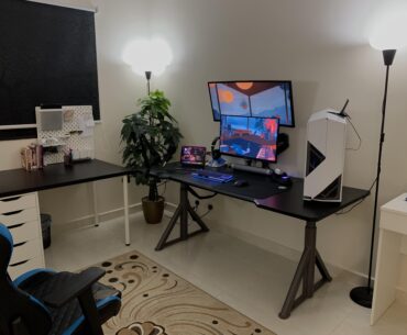 At last. I’ve been waiting to buy this sit/stand desk for so long.