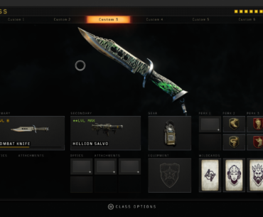 How do you guys feel about this loadout?